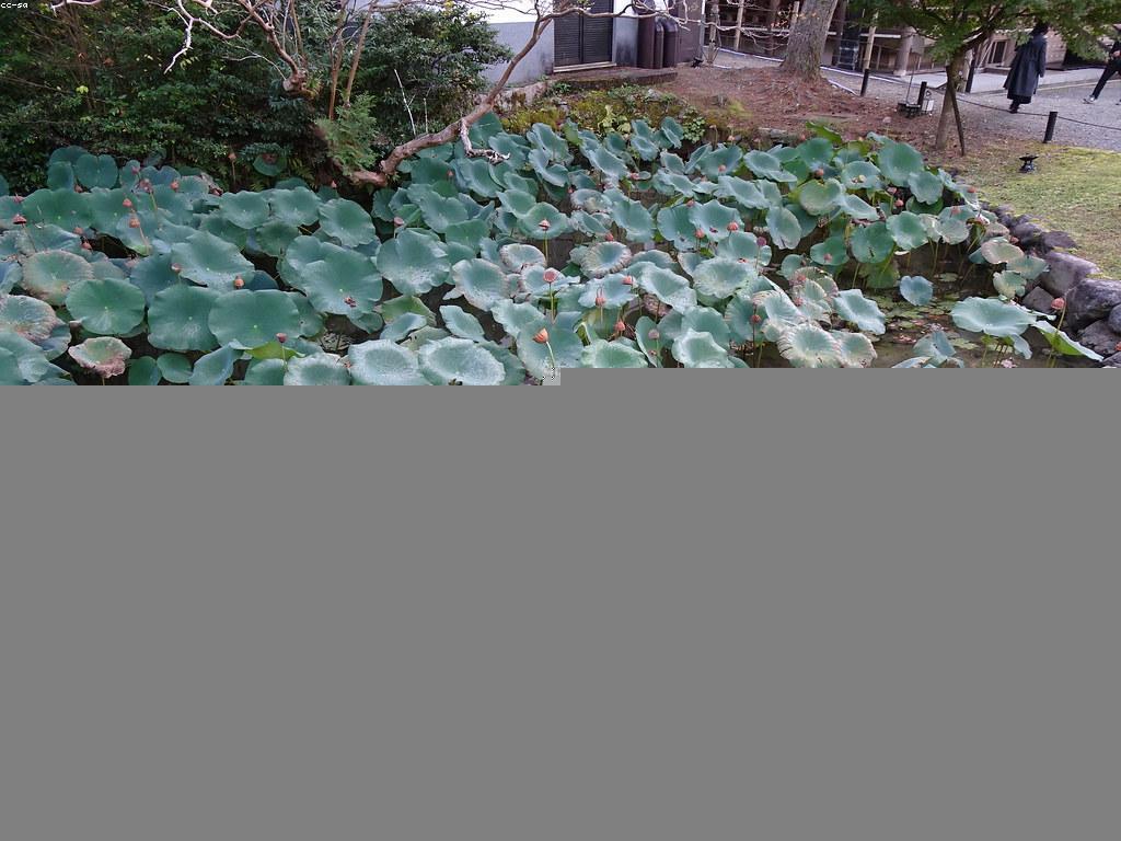 ការយល់ដឹងអំពីការពិតនិងមីសាទ: ការដោះស្រាយសម្រាប់ការតម្រង់ចិត្ត