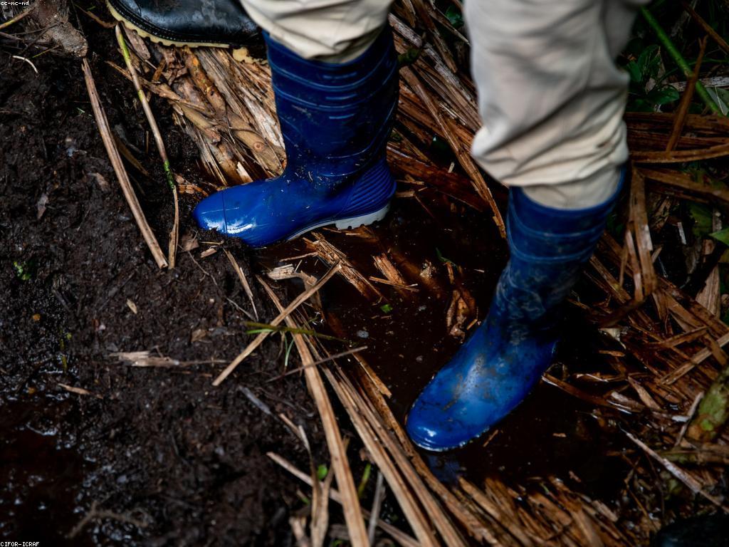 ការពិតនិងមីសាទ: ការស្វែងយល់ពីភាពជាក់ស្តែង